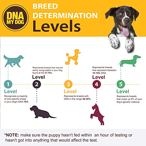 Dna My Dog Genetic Testing Kit – Mixed Breed Identification, Personality Traits – for Puppies to Adult Dogs, Non… - Image 4