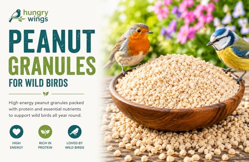 Granuels d'arachides de qualité supérieure pour oiseaux de la nature - 3