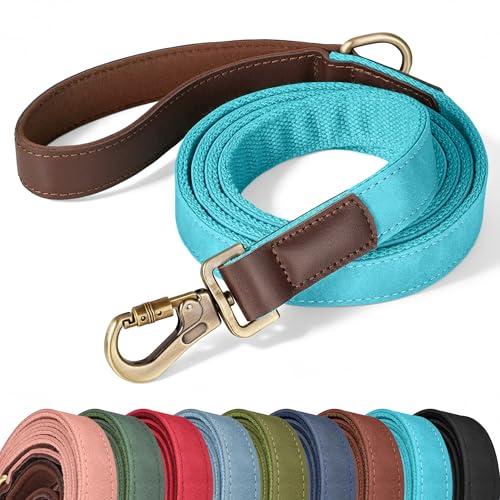 Didog PU Leather Dog Leash for Large Dogs, 6ft Padded Handle, Light Blue