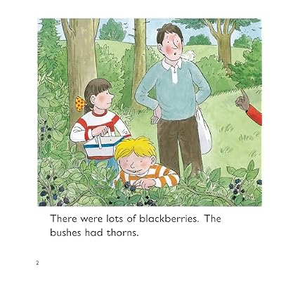 Oxford Reading Tree: Level 5: More Stories C: Pack of 6 Paperback January 1, 2011
