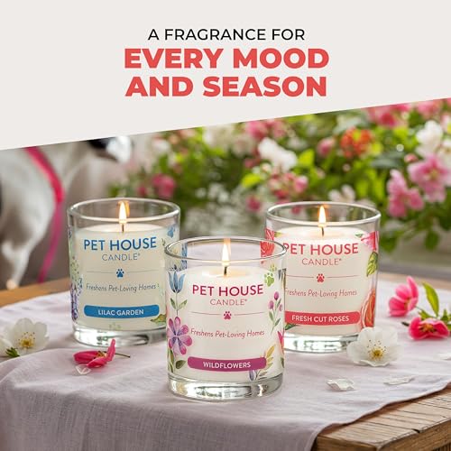 One Fur All Pet House Candle 2 Pack - Plant-Based/Soy- Clean Burning Scented, Long Lasting Pet Odor Candle for Home - Hollyberry