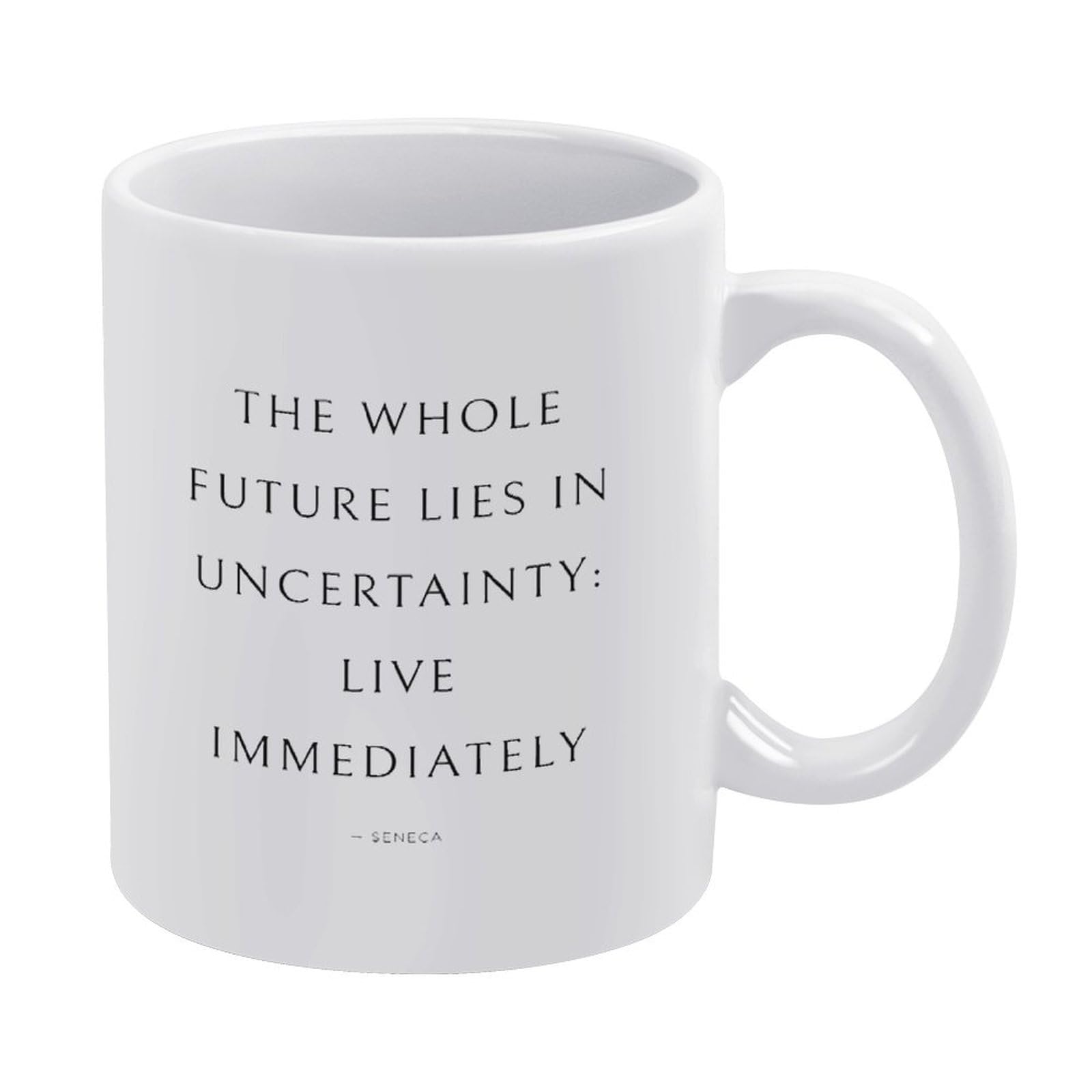 Seneca Quote,Stoic Quote,Stoic Reflection,Stoic Art,Philosophy Gift,White Mug,Funny Coffee Mug,Man Cave Prints,The Best Gift for Colleagues, Parents, And Grandparents, 110z Men And Women