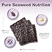 Two Little Fishies ATLSVPS4 Sea Veg-Purple Seaweed, 1-Ounce Pouch