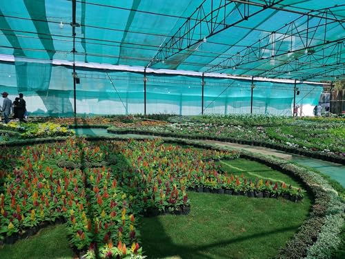 Image of Multipurpose Green Shade Net | UV-Stabilized Agro & Garden Net | Blocks 75% Sunlight (10 ft X 30 ft)