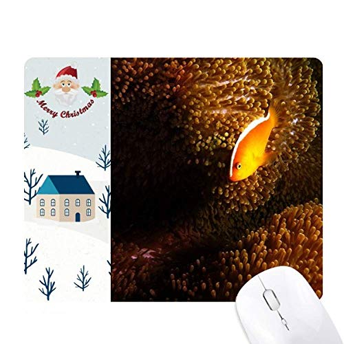 I[VEAllXȊw͎R̎ʐ^ T^N[XƉS̃}EXpbh