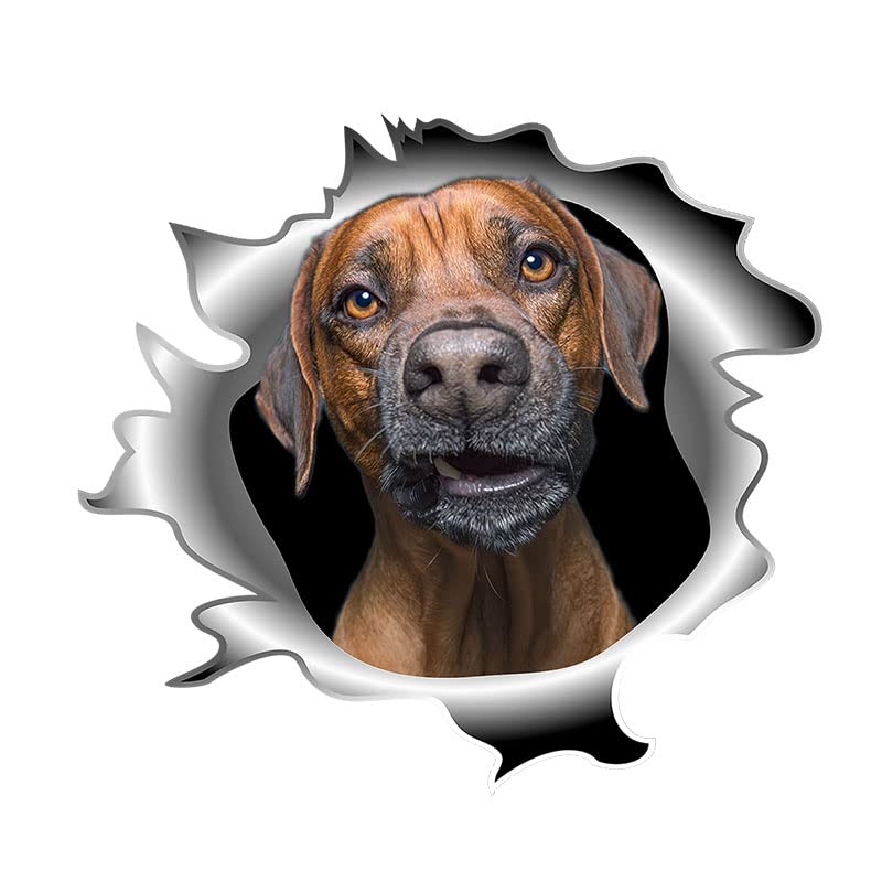 Vinilo de perro sonriente 3D de 30cm para decorar la nevera y el coche con diseño extraíble