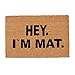 Produktbild Relaxdays, Natur/schwarz Fußmatte I'm MAT, aus Kokosfasern, rutschfeste Türmatte, innen und draußen, BxT: 60 x 40 cm, Kokos 60x40cm