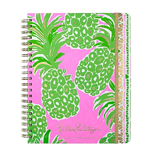 VEDIK Basal Digital Thermometer - Fast Reading, Auto Turn Off, 1/100th Degree High Precision and Memory Recall Fertility Basal Thermometer - Perfect Basal Thermometer for Ovulation Tracking