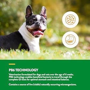 NaturVet – Advanced Probiotics & Enzymes – Plus Vet Strength PB6 Probiotic | Supports and Balances Pets with Sensitive Stomachs & Digestive Issues | for Dogs & Cats (1 lb)
