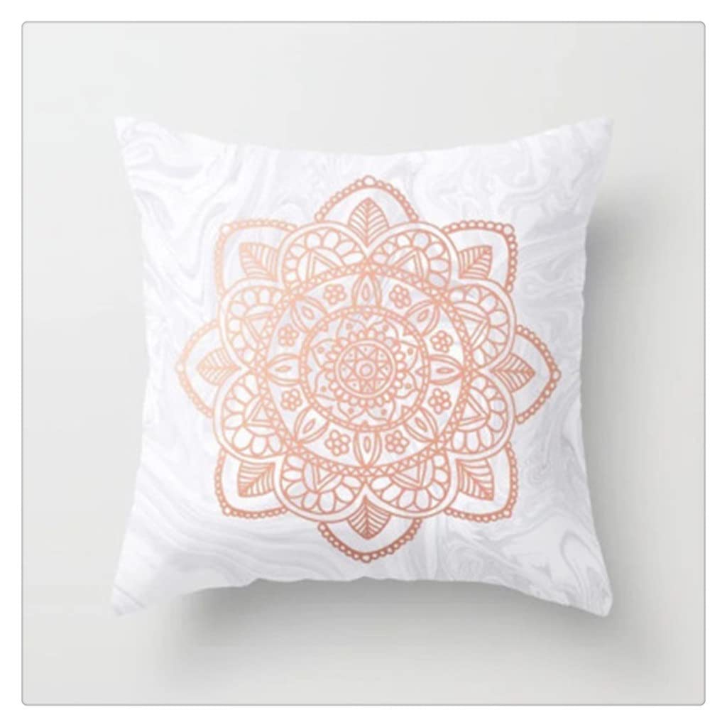 MFJGHU Rose Gold Pillowcase Polyester Peachskin Pillow Case Home Sofa Throw Cover Short Plush Velvet Bed Decoration(Style B)