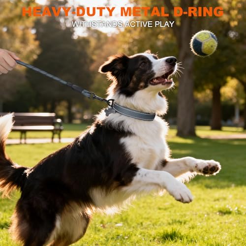 Image of Taglory Reflective Dog Collar for Medium Dogs, Soft and Safe for Daily Walk