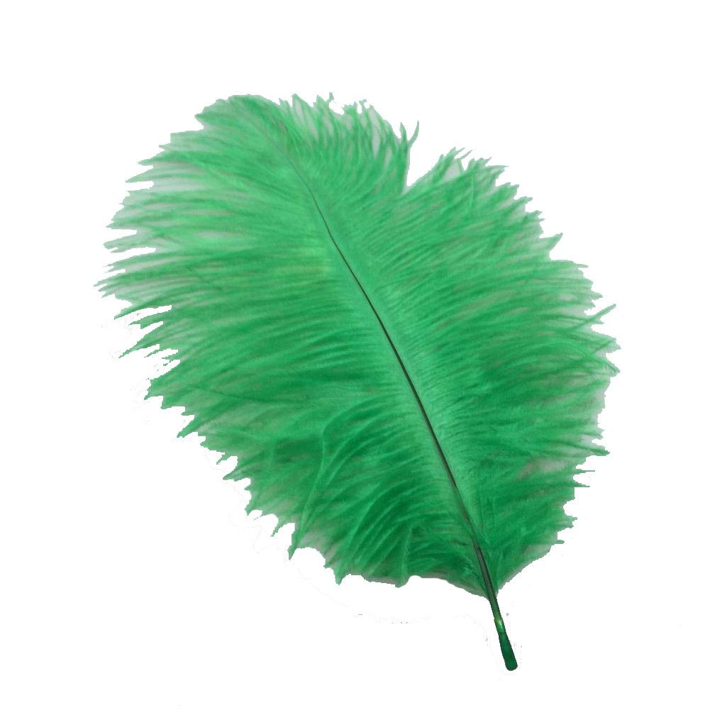 Plumes d'autruche mariage et décoration maison lot de 10 pièces vert foncé