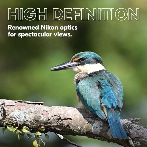 Nikon PROSTAFF P3 8x42 Binocular | Waterproof, fogproof, rubber-armored Full-Size Binocular, wide field of view & long eye relief | Official Nikon USA Model by Nikon - Image 5