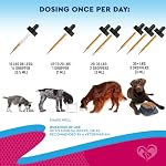 Cat & Dog Urinary Tract Infection Treatment & Natural UTI Medicine Cranberry & D-Mannose -Kidney+Bladder Support - Best Incontinence, Bladder Stones - Pet Renal Health & Care Drops - Image 6