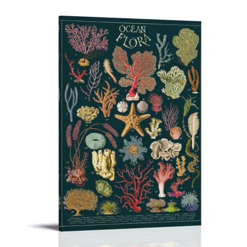 Ocean Flora tableau sur toile marin 30x45 cm décoration moderne
