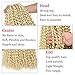 Leeven 24 Inch Long Water Wave Crochet Hair for Passion Twist 2 Packs Blonde Curly Bohemian Passion Twists Hair for Butterfly Locs Braiding Hair for Women 613#