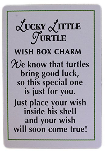 Ganz Lucky Little Turtle Wish Box Charm With Story Card! #TOP1