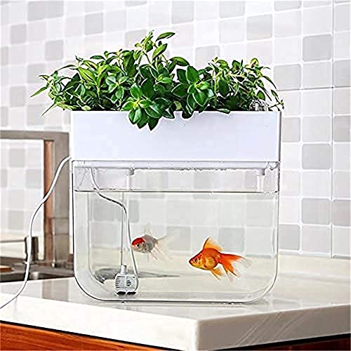 YIJOFU おしゃれ アクアリウム アクアポニックス 水耕栽培システム 有機セルフ給水プランタ 魚 植物 飼育 栽培