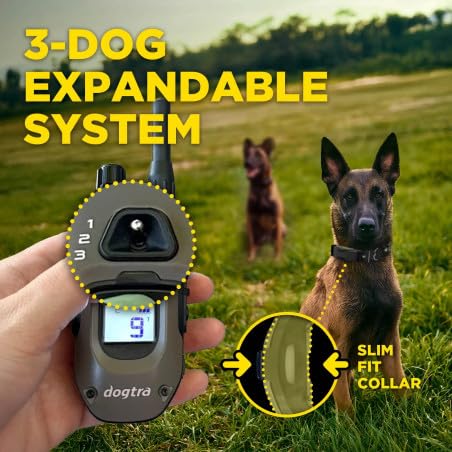 Dogtra ARC-X Kit 1 Collar de Adiestramiento para Perros | Vibración XPP Avanzada, Alcance 1,2 km, Extensible hasta 3 Perros, IPX9K, Para Perros Desde 7 kg