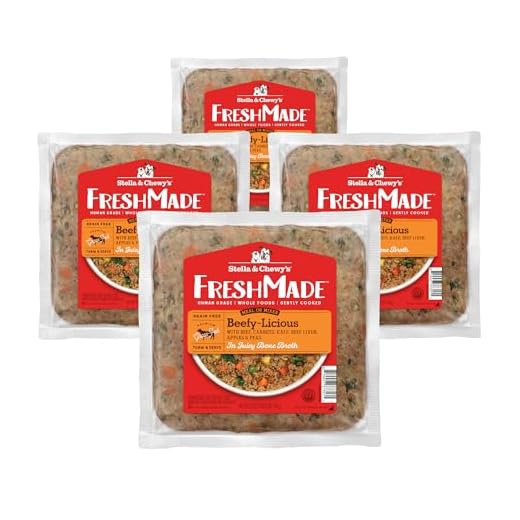 Stella & Chewy's FreshMade Frozen Fresh Grain-Free Beefy-Licious Dog Food, 16-oz Pouch (Pack of 4)