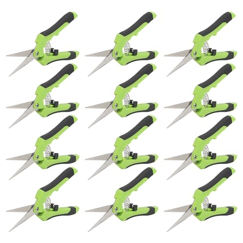 ZEONHAK 12 PCS 6.5 Inch Green Bud Trimming Scissors, Stainless Steel Bud Trim Scissors, Straight Tip Gardening Pruning Shears Pruners for Gardening 1 ZEONHAK 12 PCS 6.5 Inch Green Bud Trimming Scissors, Stainless Steel Bud Trim Scissors, Straight Tip Gardening Pruning Shears Pruners for Gardening