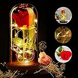 ASANMU Kit de Rosas, Bella y la Bestia Rosa de Seda Roja y luz LED con Pétalos Caídos en Cúpula de Cristal sobre una Base de Madera Mejor Regalo para día de San Valentín, Navidad, Cumpleaños (Roja)