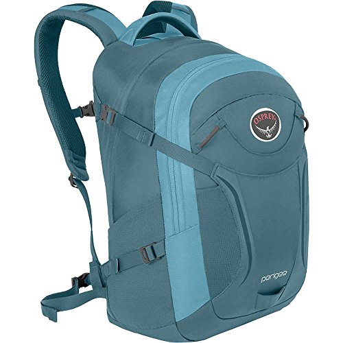 Osprey Packs Perigee Daypack, Liquid Blue