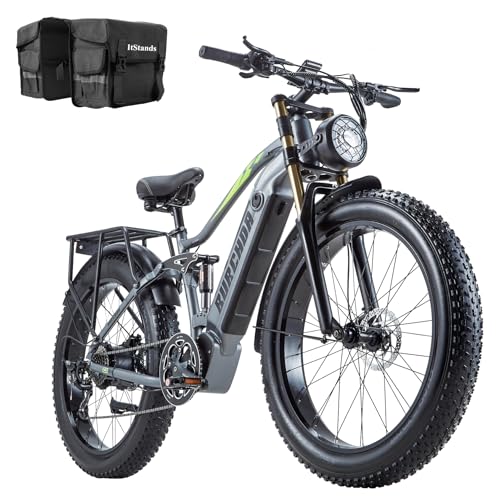 DAMSON Electric Bike for Adults 1500W Peak Motor 48V 20Ah