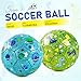 ZOOJOY Size 2 Soccer Ball, 2 Pack Cartoon Balls with Pump Mesh Bag, Planet & Dinosaur Toddler Boys Toys for 1 2 3 4 5 6 Years Old, Trendy Sensory Boys Girls Gifts for Indoor Outdoor Play Balls