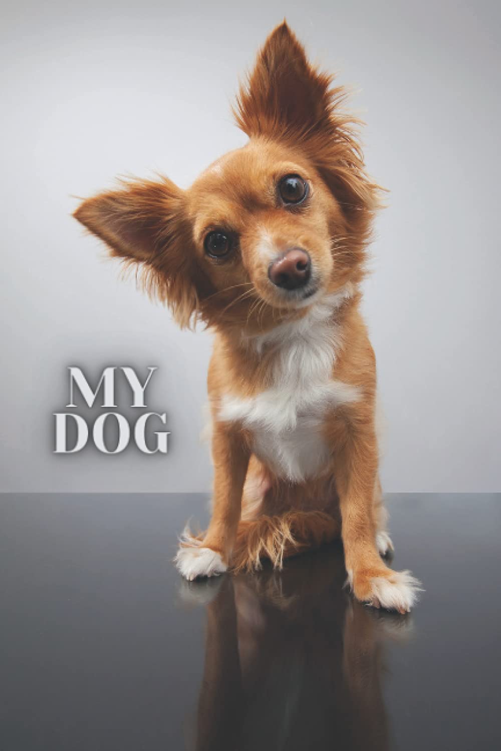 My DOG: Hidden Crypto Password Keeper: Paper Offline Cold Wallet, Crypto Private Key Storage, Crypto PAPER WALLET, Crypto Recovery Logbook, Crypto Seed Phrase Storage Book, Hidden Password Book