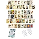 50 Stück Vintage Botanical Ästhetisches Bild für Wandcollage, 4