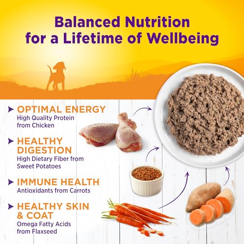 Image of Wellness Complete Health Pate Puppy Canned Wet Dog Food, Wholesome Grains, Natural, Chicken and Salmon Recipe, 12.5 oz, Pack of 12 Cans