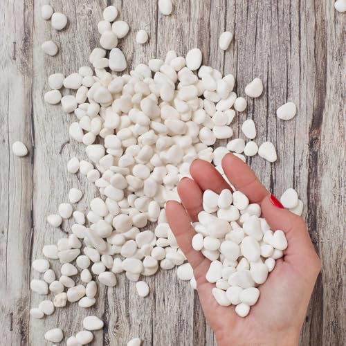 Royal Imports River Rocks, Aquarium Gravel – White 0.5"- 0.75" - 30 lbs
