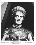 GERRIT GRAHAM/PHANTOM OF THE PARADISE/8X10 ORIGINAL PHOTO A10365