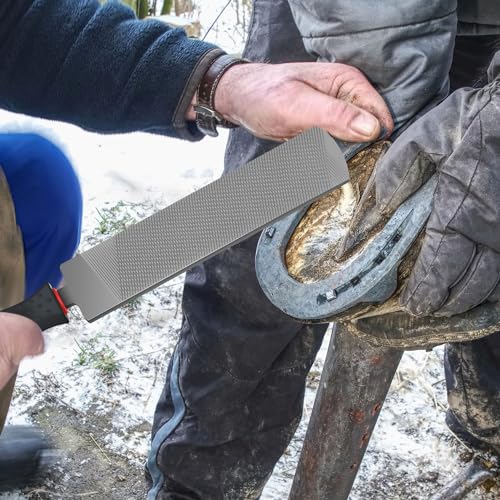 Image of Gisafai 2 Pcs 12 Inch Rasps for Shoeing Horses with Handle Trimming File Carbon Steel Farrier Tools for Repair Horse Goat Hooves Cow Donkey Pig Animal Hooves Repairing Wood Working Supplie