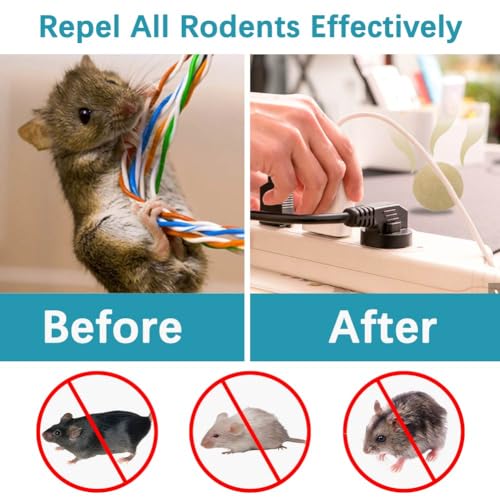 Rodent-Repellent-Mice-Repellents-Indoor-Mouse-Repellent-Balls-for-House-Rat-Repellant-Peppermint-to-Repel-Mice-and-Rats-Keep-Mice-Out-Mouse-Deterrent-Mouse-Away-for-Camper-8-Packs - Cucciolini Doodles   Rodent-Repellent-Mice-Repellents-Indoor-Mouse-Repellent-Balls-for-House-Rat-Repellant-Peppermint-to-Repel-Mice-and-Rats-Keep-Mice-Out-Mouse-Deterrent-Mouse-Away-for-Camper-8-Packs