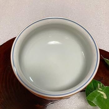 Amazon.co.jp: 京焼 清水焼 橋本龍岳 建水 山水染付色絵 茶道具