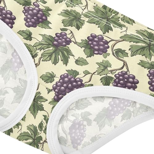 Vintage Grape Pattern Toddler Girls's Underwear 2T 202c11304