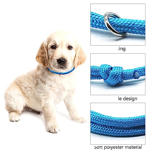 JJWNML 16pcs Welpen ID Halsbänder, Neugeborene Kätzchen, weiche Polyester Halsbänder Einstellbare Bands Identifikation Welpen Halsband für Neugeborene Haustier, Multi Coloured (L,17-28CM)