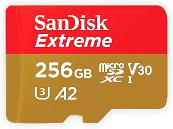 Amazon.com: SanDisk 256GB Extreme MicroSDXC UHS-I Memory Card