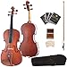 Cecilio CVA-400 Solidwood Viola, Size 16-Inch