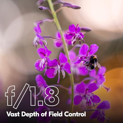 Nikon NIKKOR Z 135mm f/1.8 S Plena Lens | Telephoto for Z