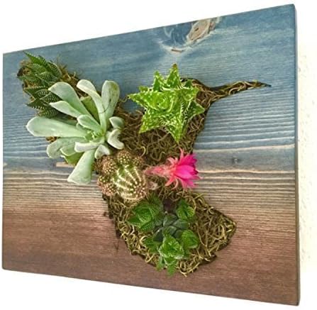HOLIDAY GIFT: Hummingbird Succulent + Cacti Vertical Garden || Living Wall || Wall Planter || Hanging Planter - Order by 12/9 to receive by X-MAS