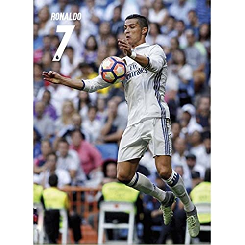 Grupo Erik Editores Real Madrid 2016/2017 prm16114...
