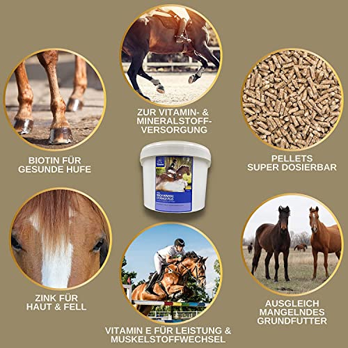 EMMA Mineralfutter Pferd 5kg + Biotin Zink Selen – Mineralien Komplex mit Magnesium & Bierhefe – Pellets & Amino Paste 30ml – Huf Fell Haut Fellwechsel – Pferdefutter für Starke Hufe & Vitalität