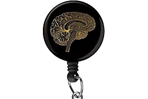 Brain Anatomy Neurology Illustration Badge Clip Card Holders Nurse ID Name Keychain...