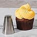 Kayaso Cake Decorating Icing Piping Tip Set, 10 X-large Decorating Tips Stainless Steel Plus 20 Disposable Pastry Bags