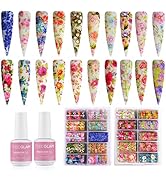 TOBEGLAM Nail Foil Nail Art Stickers with 2* 15ml Nail Foil Glue,20 Rolls Summer Flower Nail Foil...