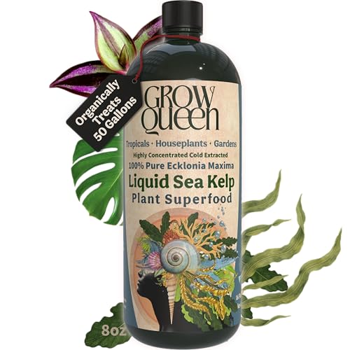 Grow Queen Organic Liquid Kelp & Seaweed Extract (Ecklonia Maxima)