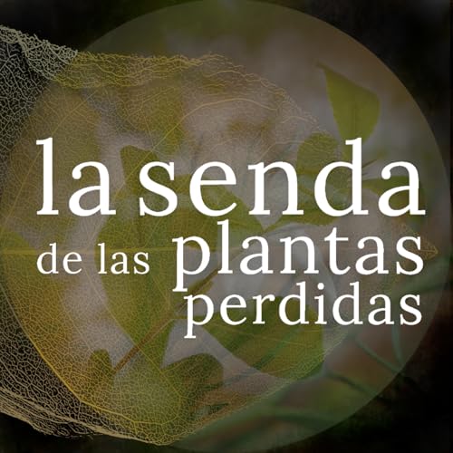 Las hojas del para&iacute;so prohibido: Catha edulis {SPP 096}